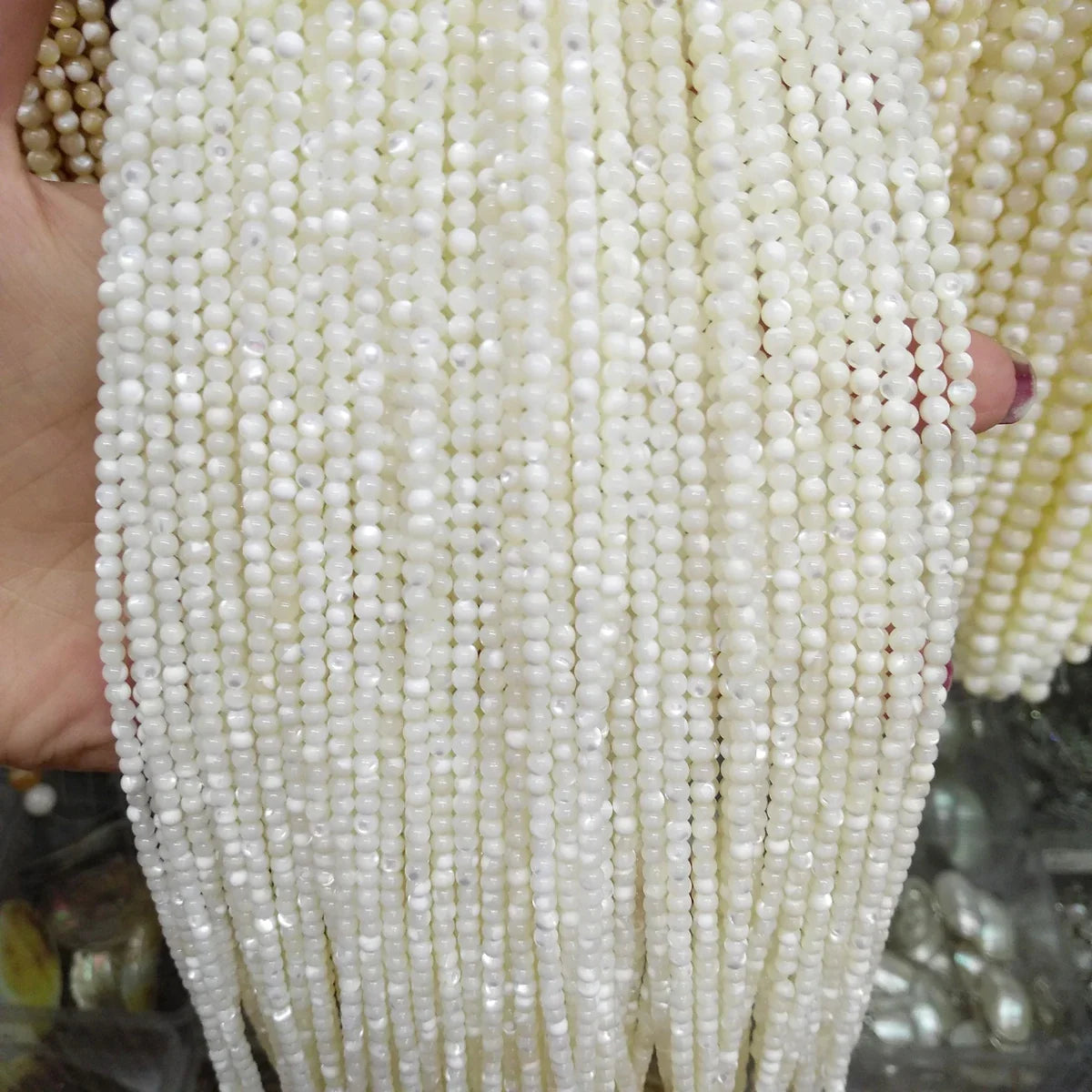 Wholesale Natural Shell Beaded White Round Shape Craft Shell Loose Beads for Jewelry Making DIY Bracelet Necklace Accessories