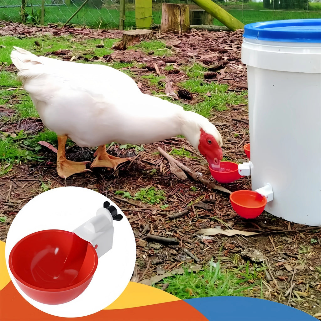 5-20Pcs Automatic Chicken Duck Drinking Cup Drinker Larger Chicken Feeder Plastic Poultry Farm Water Dispenser Quail Supply