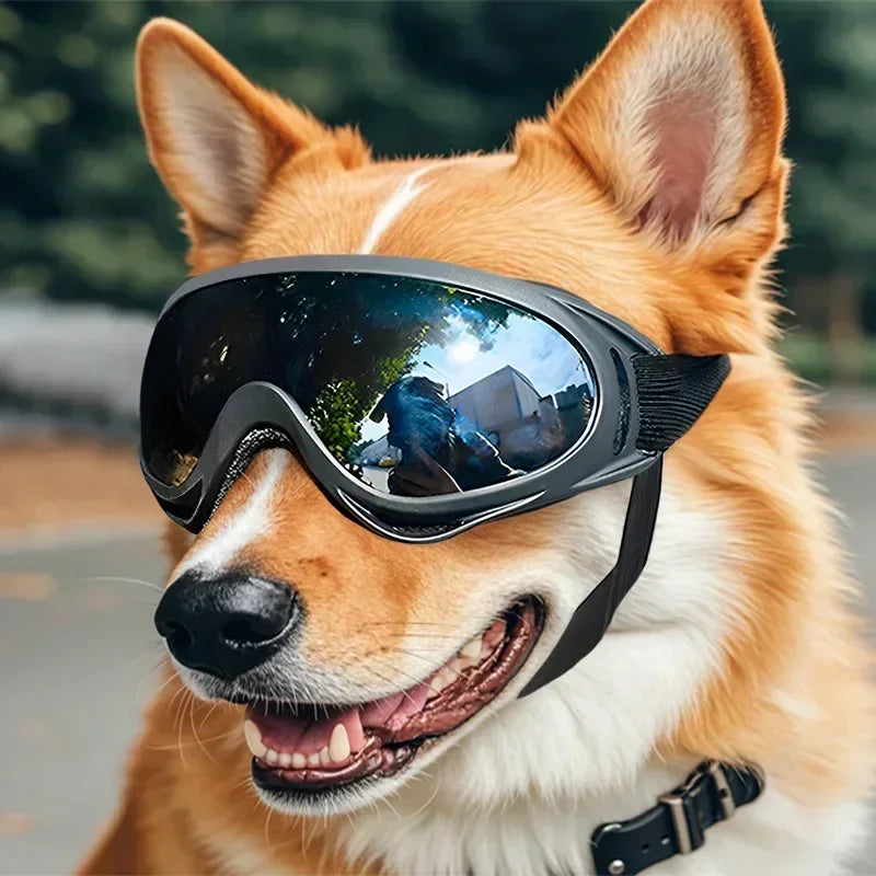 Pet Goggles Adjustable Anti UV Glare Windproof Sunglasses for Dogs Outdoor Hiking Running Beach All Breeds Eye Protection Black