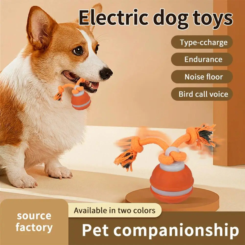 Pet Ball for Dogs Interactive Toys Motion Activate Rolling Ball for Puppy/Small Dogs Automatic Moving Toy USB Rechargeable Toy