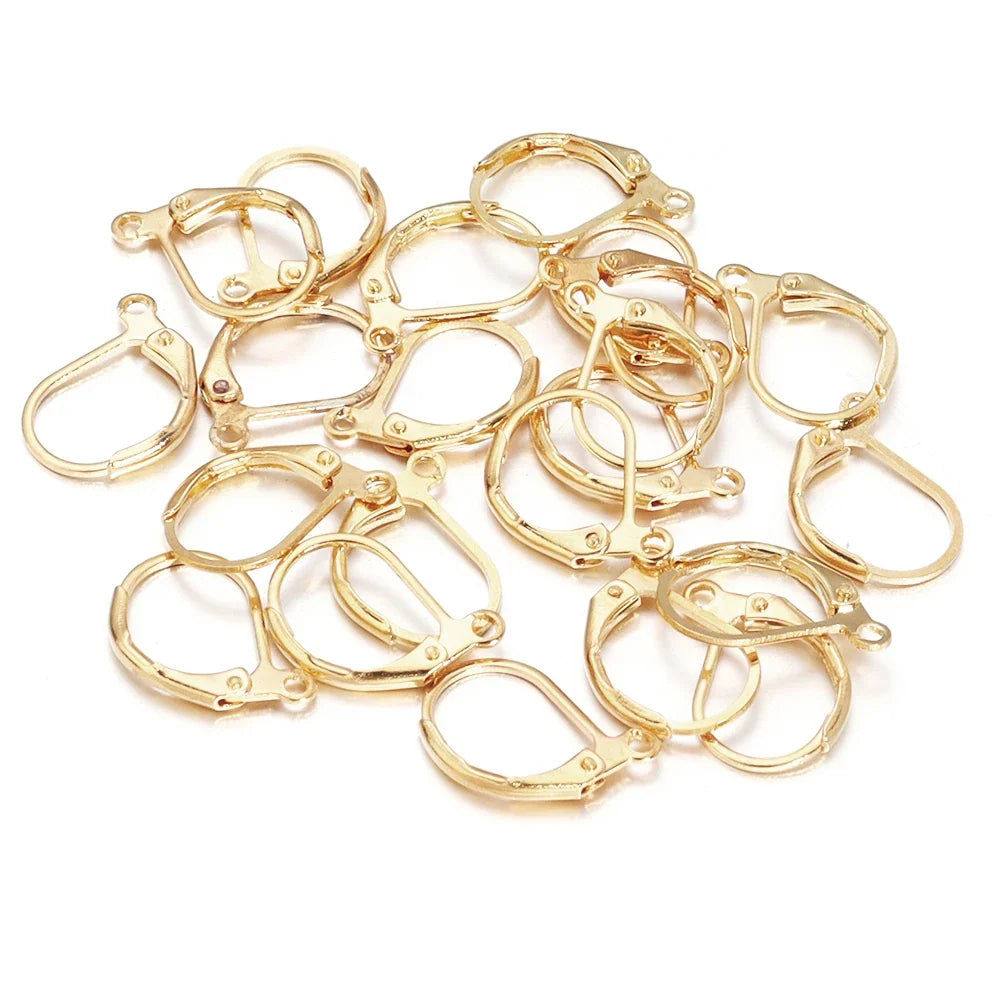 50pcs/lot Hypoallergenic Earring Hooks French Lever back Earwire Stainless Steel Earrings Clasp for Jewelry Making Findings